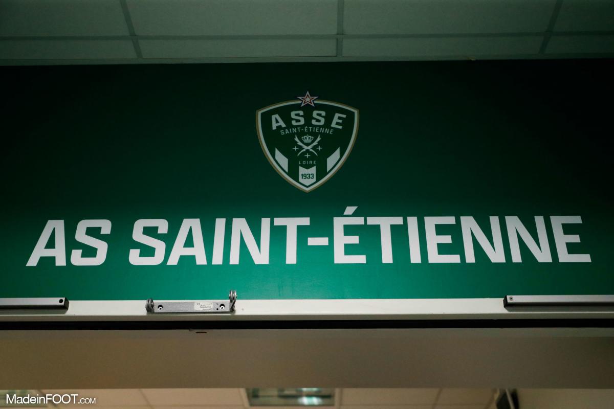 À Saint-Étienne, les supporters de l'ASSE veulent devenir actionnaires - Le  Parisien