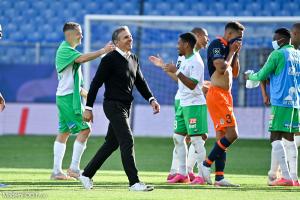 Puel avec les Verts